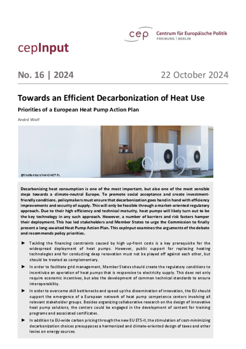 Towards an Efficient Decarbonization of Heat Use