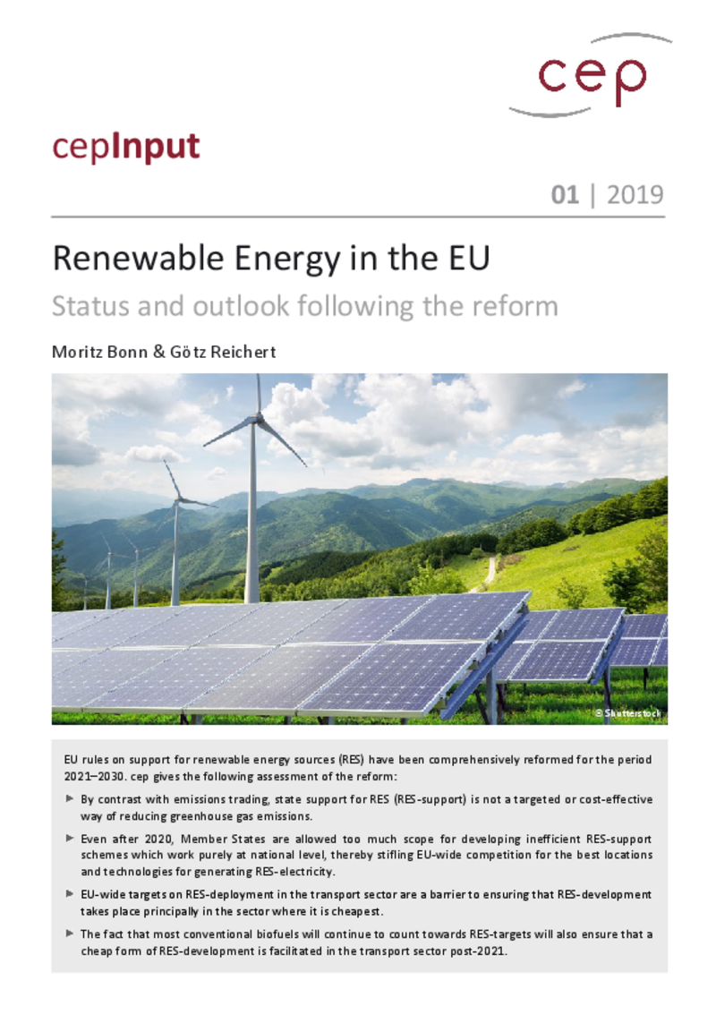 Renewable Energy in the EU