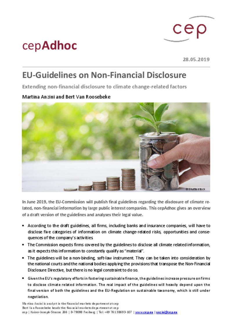 EU-Guidelines on Non-Financial Disclosure