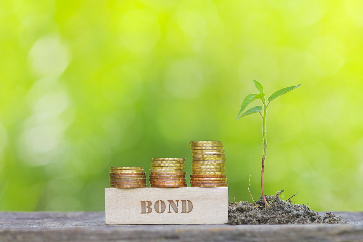 EU Green Bond Standard (cepPolicyBrief COM2021 391)