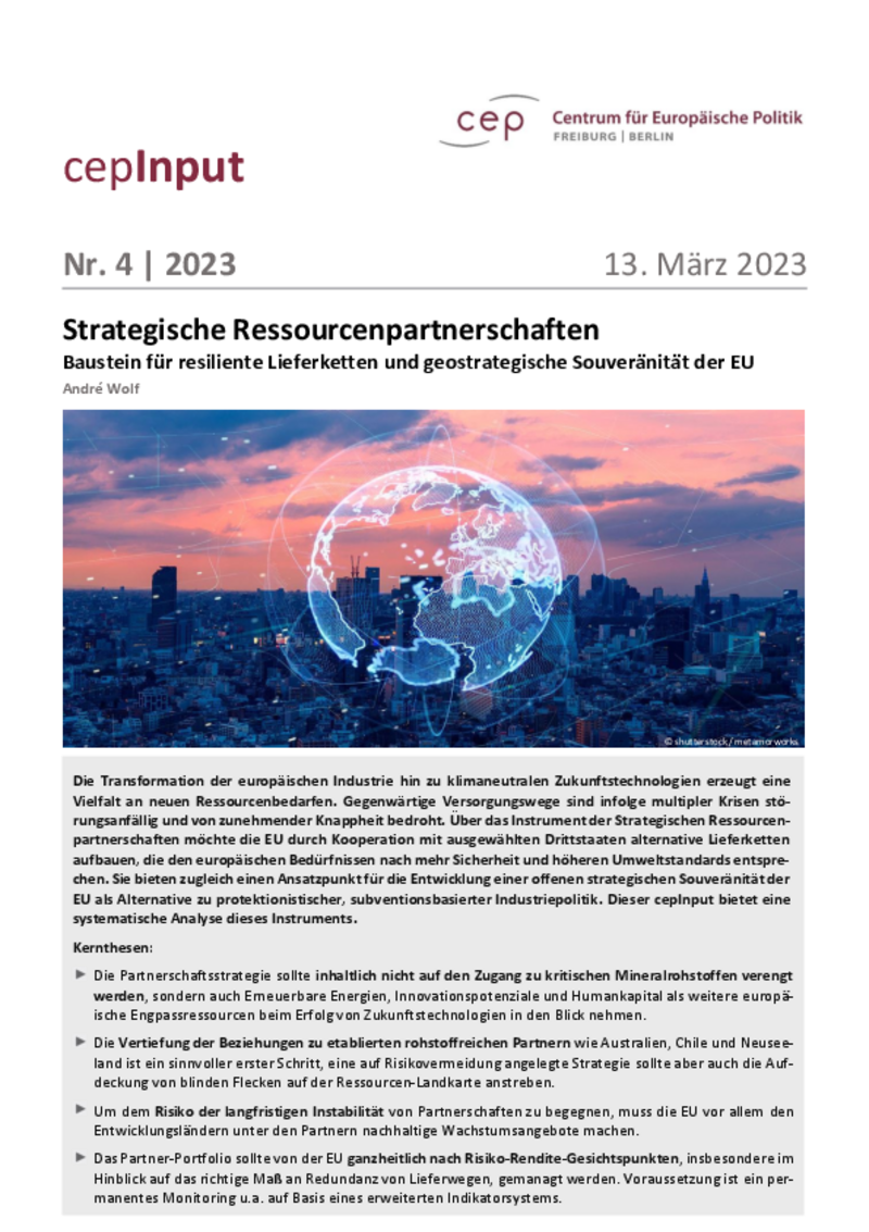 Strategische Ressourcenpartnerschaften (cepInput)