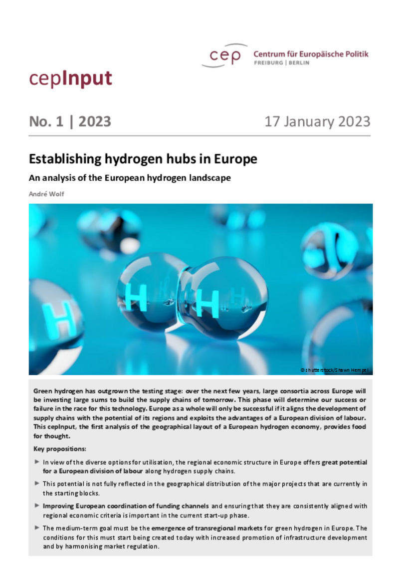 Creazione di hub dell'idrogeno in Europa (cepInput)