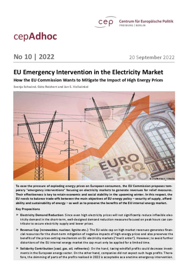 Misure di emergenza dell'UE per il mercato dell'elettricità (cepAdhoc)