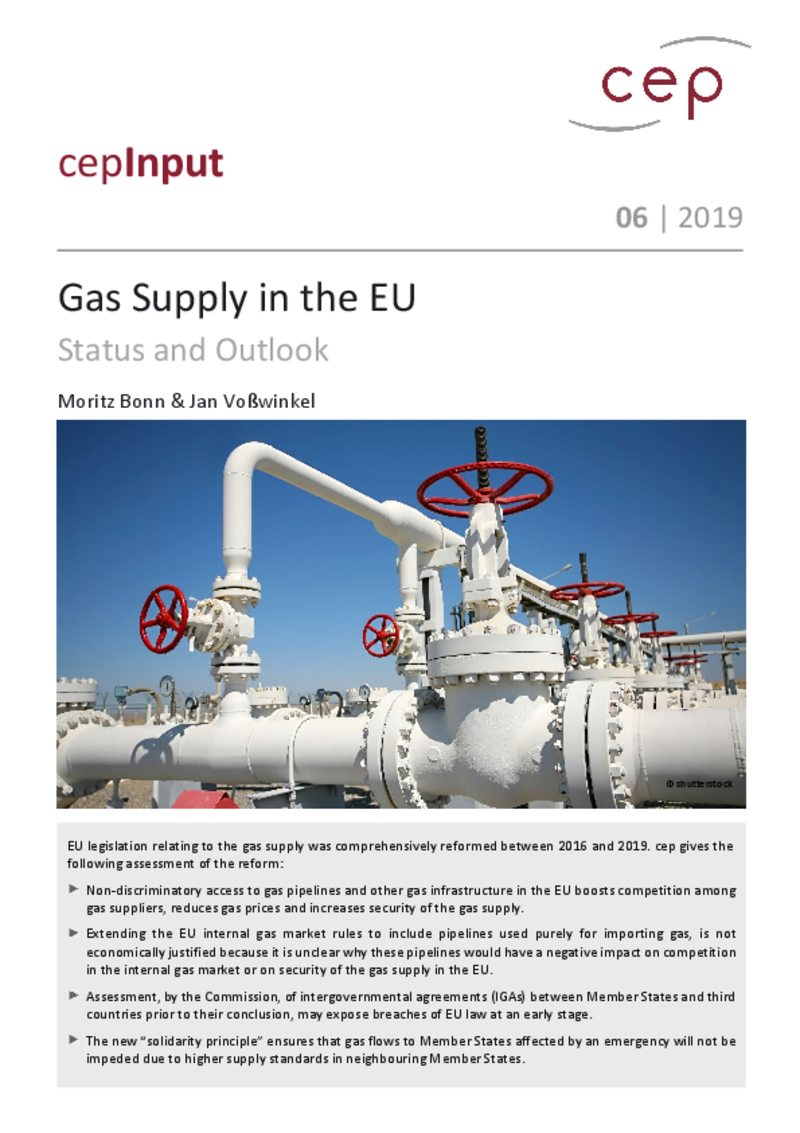 Gas Supply in the EU (cepInput)