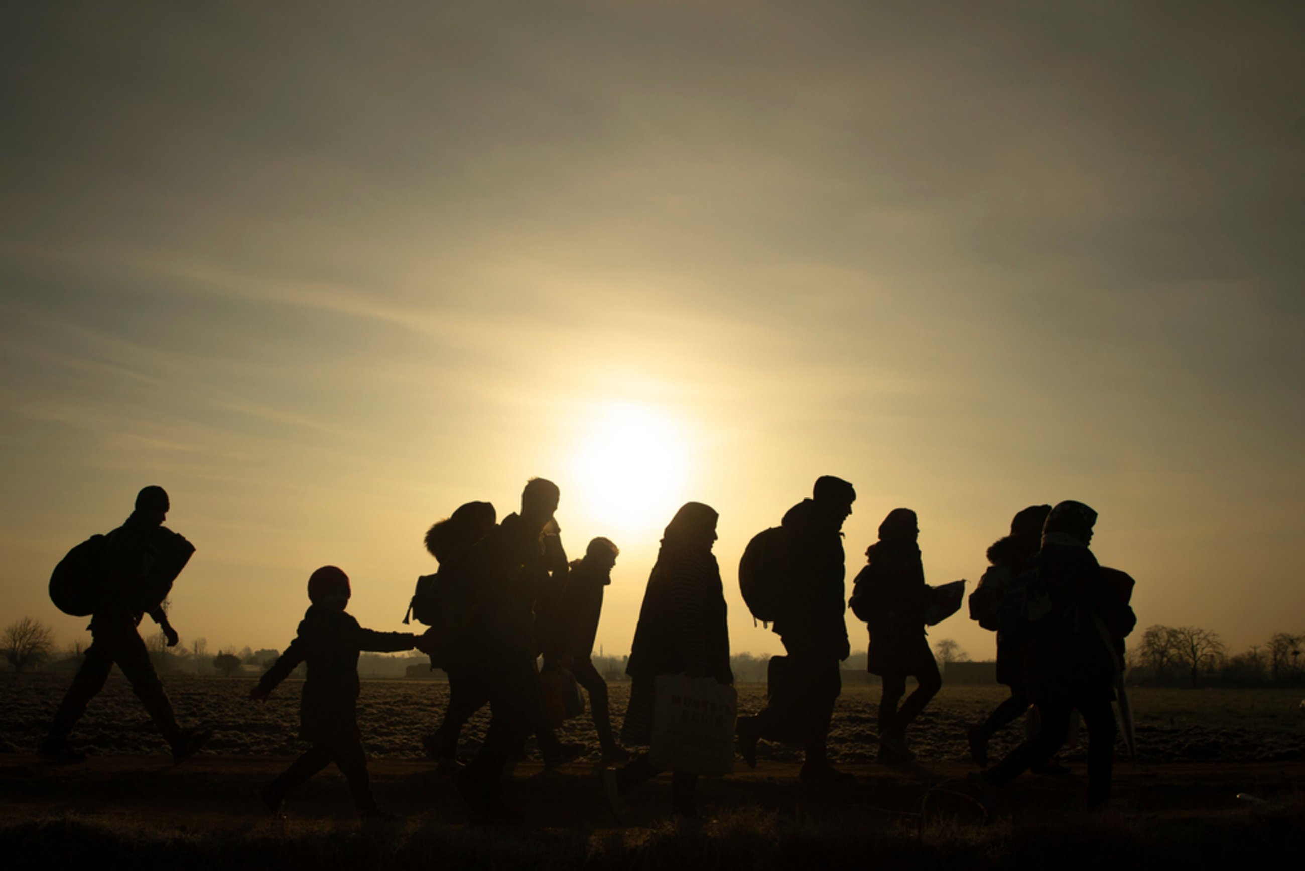 The New European Pact on Migration and Asylum